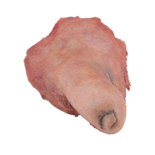 524. Bunny Lebowski's (Tara Reid) Severed Toe ### THE BIG LEBOWSKI (1998)