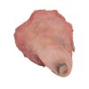 524. Bunny Lebowski's (Tara Reid) Severed Toe ### THE BIG LEBOWSKI (1998)