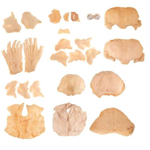 681. Dick Smith Collection: John Blaylock's (David Bowie) Pair of Contact Lenses with 20 Production-Made Aged Prosthetic Appliances ### THE HUNGER (1983)