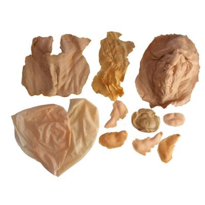 707. Dick Smith Collection: Collection of Aged Prosthetic Appliances ### DICK SMITH