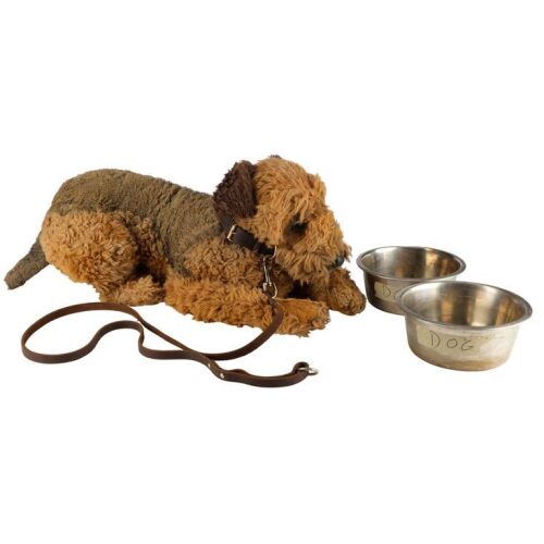 740. Goodyear (Seamus) Stand-In with Accessories ### FINCH (2021)