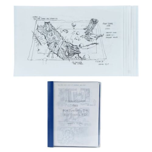 755. College Football and Past War Storyboard Copies ### FORREST GUMP (1994)
