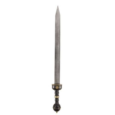 793. General Tegula's (Rory McCann) Stunt Gladius ### GLADIATOR II (2024)