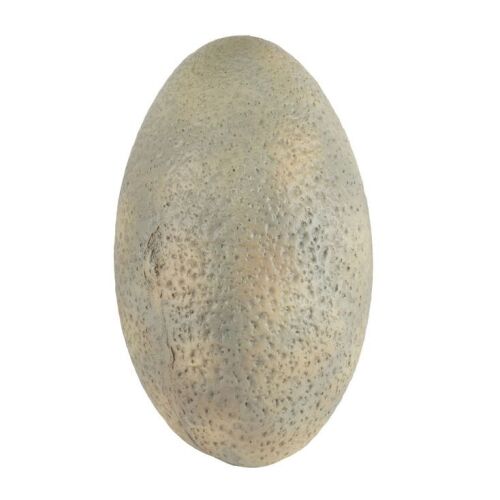 913. Velociraptor Egg ### JURASSIC PARK (1993)