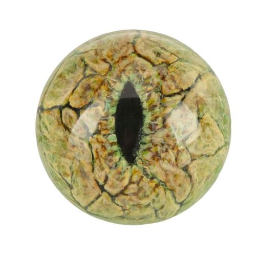 914. Velociraptor Reference Eye ### JURASSIC PARK (1993)