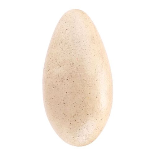 919. Velociraptor Egg ### JURASSIC PARK III (2001)