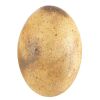 921. Dinosaur Egg ### JURASSIC WORLD: FALLEN KINGDOM (2018)