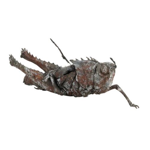 922. Animatronic Giant Locust ### JURASSIC WORLD DOMINION (2022)