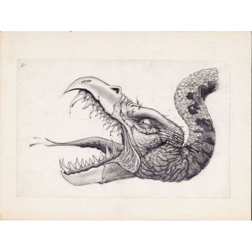 944. Matted Hand-Drawn Martin A. Kline Beaked Monster Concept Sketch ### LEGEND (1985)
