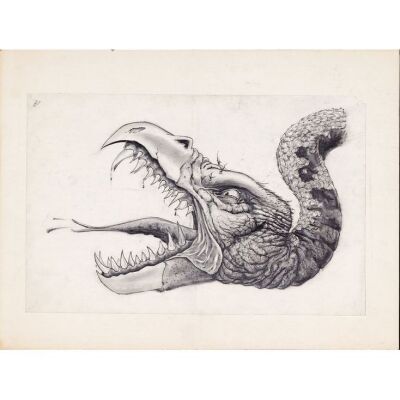 944. Matted Hand-Drawn Martin A. Kline Beaked Monster Concept Sketch ### LEGEND (1985)