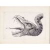 944. Matted Hand-Drawn Martin A. Kline Beaked Monster Concept Sketch ### LEGEND (1985)