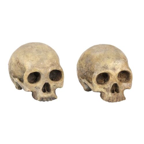 1127. Pair of the Western Woods Crone's (Miranda Richardson) Cave Skulls ### SLEEPY HOLLOW (1999)