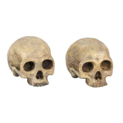 1127. Pair of the Western Woods Crone's (Miranda Richardson) Cave Skulls ### SLEEPY HOLLOW (1999)