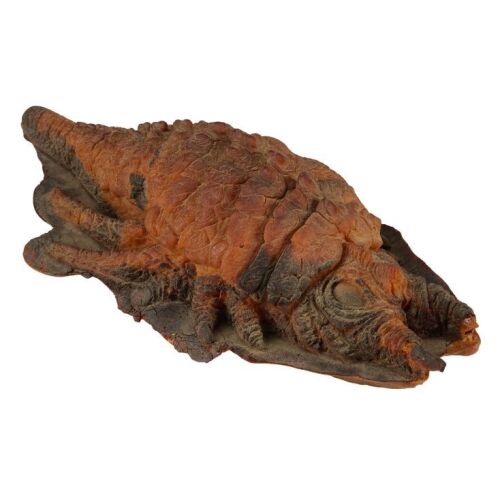 1146. Greg Jein Collection: Ceti Eel Puppet Casting from Original Production Molds ### STAR TREK II: THE WRATH OF KHAN (1982)