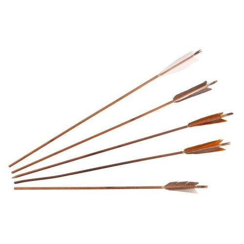 1269. Set of Lara Croft's (Alicia Vikander) Wooden Arrows ### TOMB RAIDER (2018)