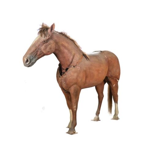 1286. Harry Tasker's (Arnold Schwarzenegger) Life-Size Horse Stand-In ### TRUE LIES (1994)