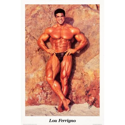 2109. Lou Ferrigno-Autographed Poster ### LOU FERRIGNO