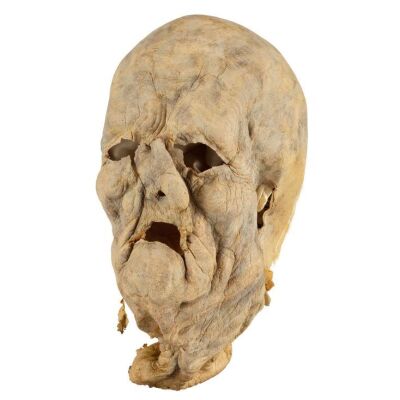 682. Dick Smith Collection: Aged John Blaylock's (David Bowie) Final Stage Mask ### THE HUNGER (1983)