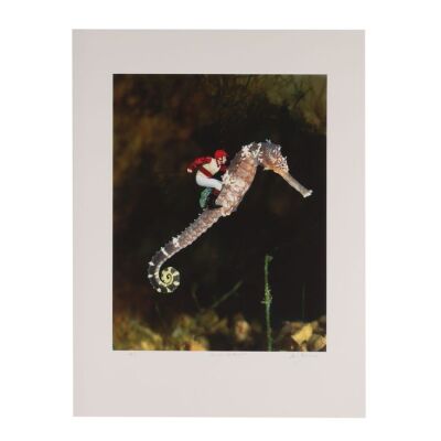 Lot # 103. Storm Thorgerson-Signed Artist's Proof "Reasons To Be Cheerful" Print, 2001 ### IAN DURY