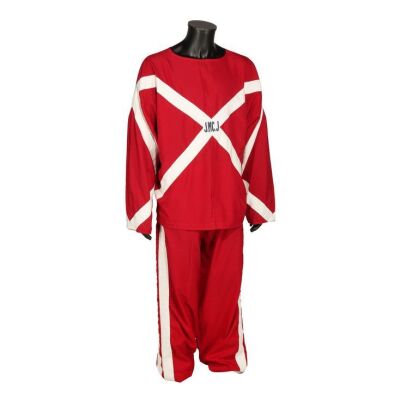 Lot # 673. Leeroy Thornhill's Stage-Worn Special Production Rave Suit ### PRODIGY, THE