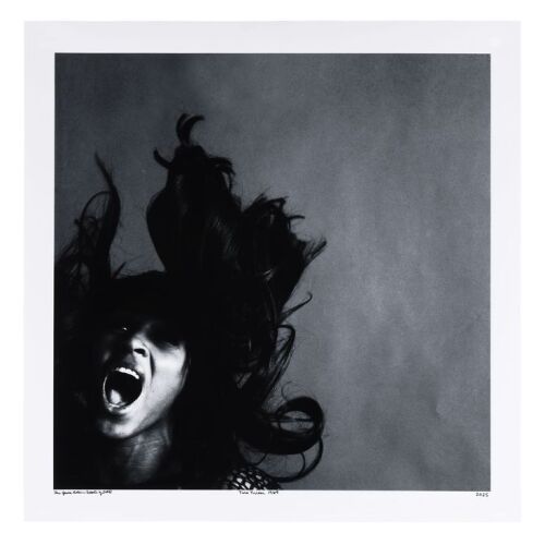 Lot # 794. The Rockarchive Collection: Limited Edition Print by Jack Robinson, New York, 1969 ### TINA TURNER