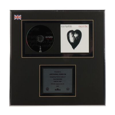 Lot # 501. One By One Platinum Disc Award ### FOO FIGHTERS