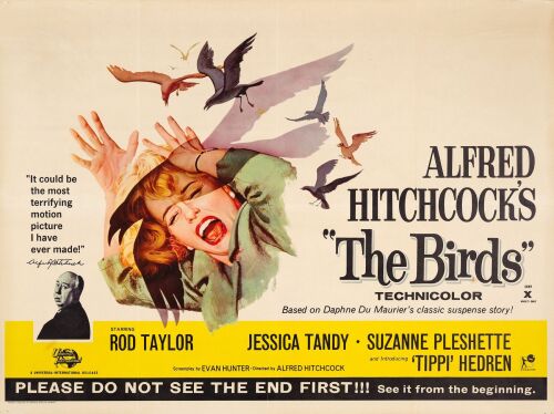 63. British Quad (40" x 30"); Very Fine+ Folded ### THE BIRDS (1963)