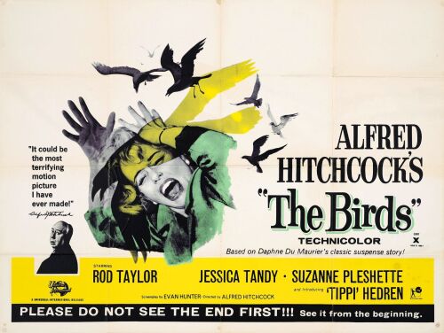 351. British Quad (40" x 30"); Very Fine Folded ### THE BIRDS (R-1960s)