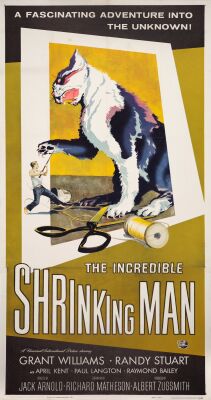 541. Three Sheet (42" x 78"); The Collection of the Late J. Stephen Ryan; Very Fine+ on Linen ### THE INCREDIBLE SHRINKING MAN (1957)
