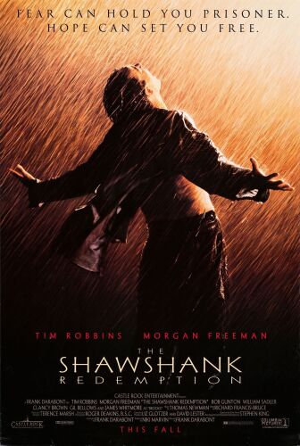 798. Full-Bleed One Sheet (27" x 40"); Advance; Very Fine- Rolled ### THE SHAWSHANK REDEMPTION (1994)
