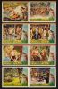 903. Lobby Card Set (8) (11" x 14"); The Bradleigh Vinson Collection; Fine+ ### TARZAN AND THE AMAZONS (1945)