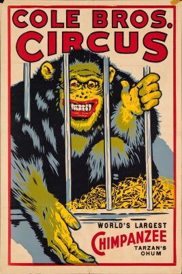 916. Circus Poster (28" x 42"); Silk Screen Style; Very Fine- Folded ### TARZAN-COLE BROS. CIRCUS: BETTY LOU (c.1930s)