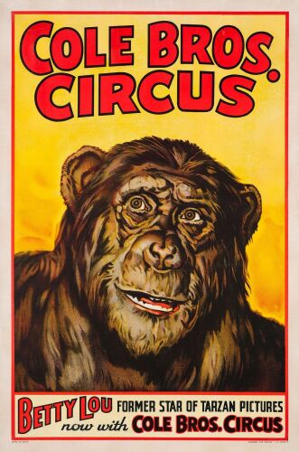 917. Circus Poster (28" x 42"); The Bradleigh Vinson Collection; Stone Lithograph; Fine+ on Linen ### TARZAN-COLE BROS. CIRCUS: BETTY LOU (c.1938 - 1940)