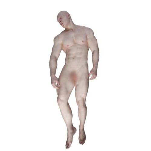 67. Male Nexus 08 Replicant Prototype Body from Nexus Reliquary ### BLADE RUNNER 2049 (2017)