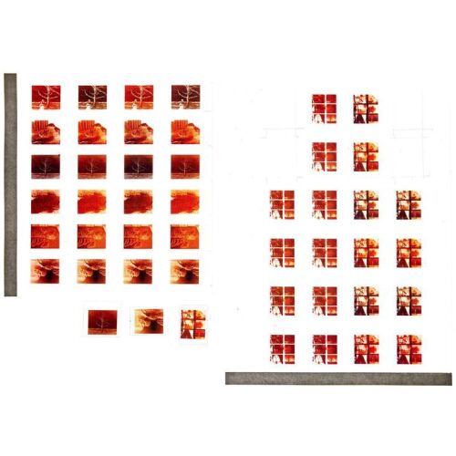 211. K's (Ryan Gosling) Production-Made Set of Evidence Negatives ### BLADE RUNNER 2049 (2017)