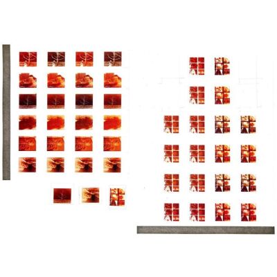 211. K's (Ryan Gosling) Production-Made Set of Evidence Negatives ### BLADE RUNNER 2049 (2017)