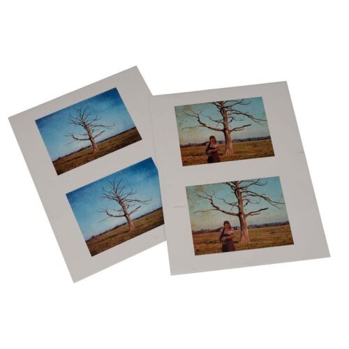 218. K's (Ryan Gosling) Production-Made Pair of LAPD Evidence Photo Sheets ### BLADE RUNNER 2049 (2017)