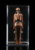 Lot # 383 - Loose EV-9D9 (ROTJ) AFA 90