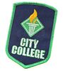 Lot # 2 - S1E09 - "City College Debate Team Patch": City College Debate Team Patch