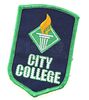Lot # 6 - S1E09 - "City College Debate Team Patch": City College Debate Team Patch