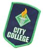 Lot # 9 - S1E09 - "City College Debate Team Patch": City College Debate Team Patch